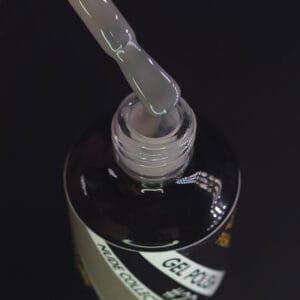 Gel Polish F22